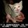 Danger kitty.thumb